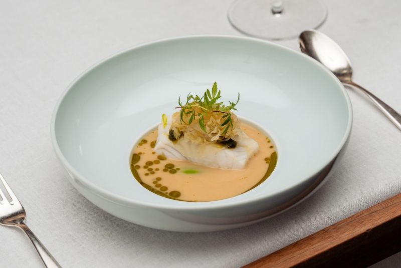 W50BR24-Tim-Raue-Copy