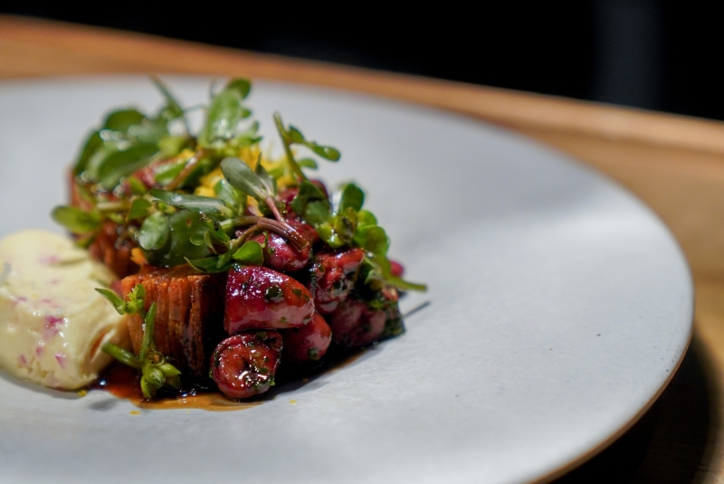 W50BR24-el-chato-Copy