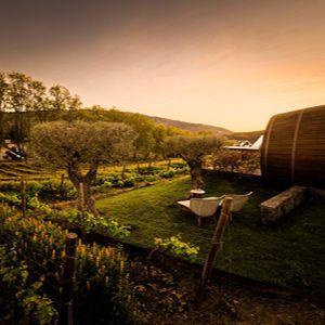 How to spend a long weekend in the Douro Valley