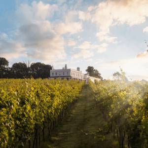 England’s best vineyard stays