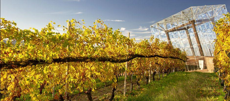 7 incredible experiences to try at the world's best vineyards