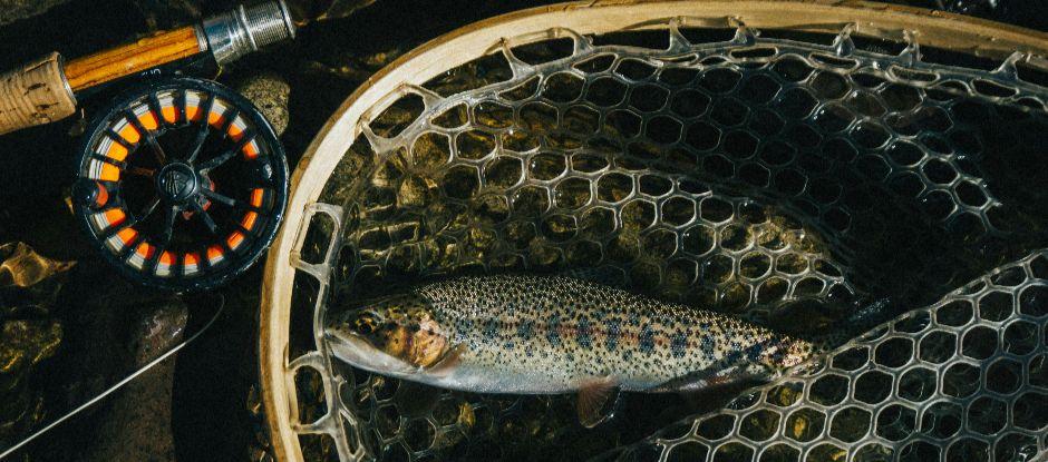 Chefs reveal the dish that changed everything