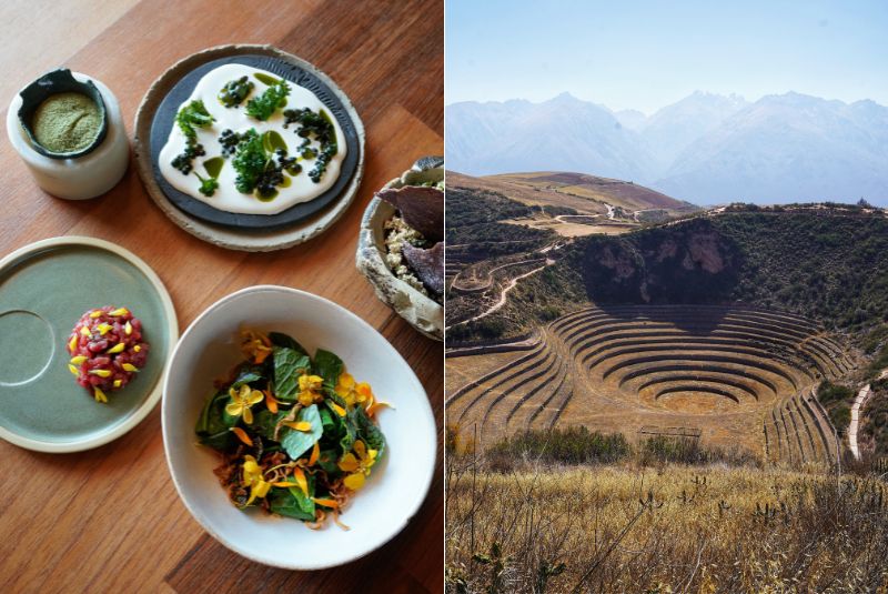 tastehunter23-copy-Mil