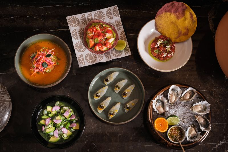 vegas-copy-casa-playa-8