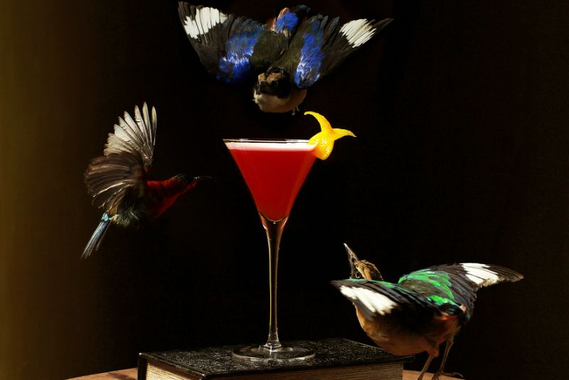 the-haflington_incopy