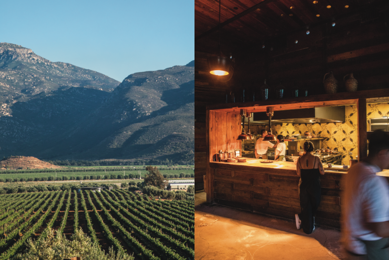 unmissable-culinary-mexico-baja