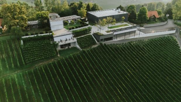 Weingut Tement