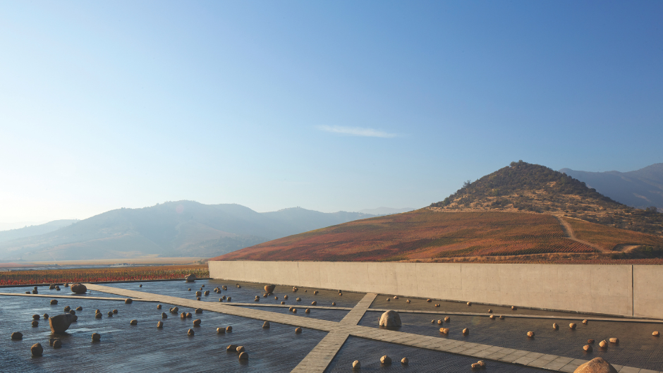 The Best Vineyard in South America 2025