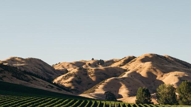 Cloudy Bay Vineyards